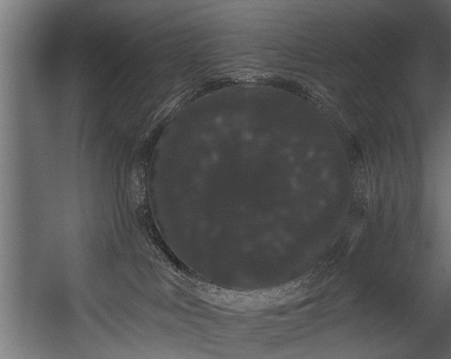 X0000054460043200508011513