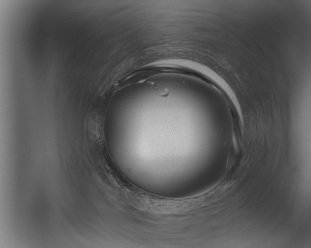 X0000054460044200508011513