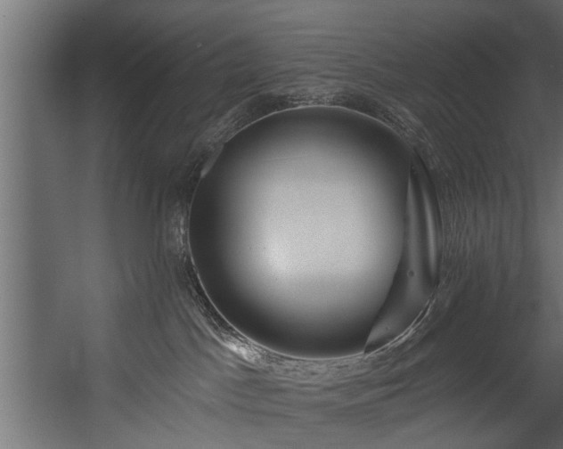 X0000054460045200508011513