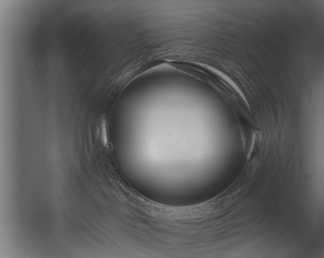 X0000054460046200508011513