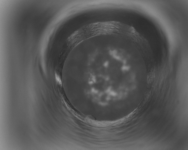 X0000054460047200508011513