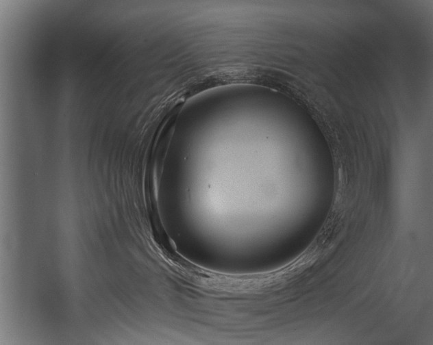 X0000054460048200508011513