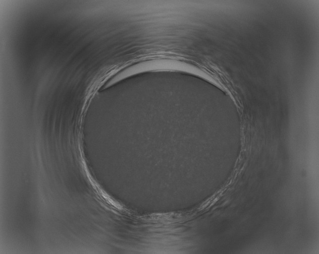 X0000054460049200508011512