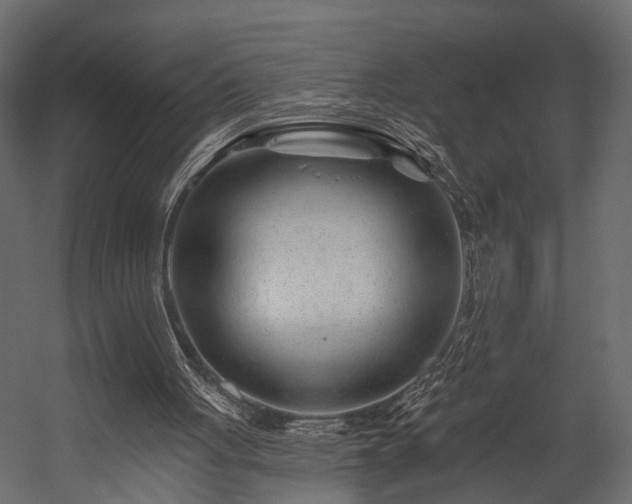 X0000054460051200508011512