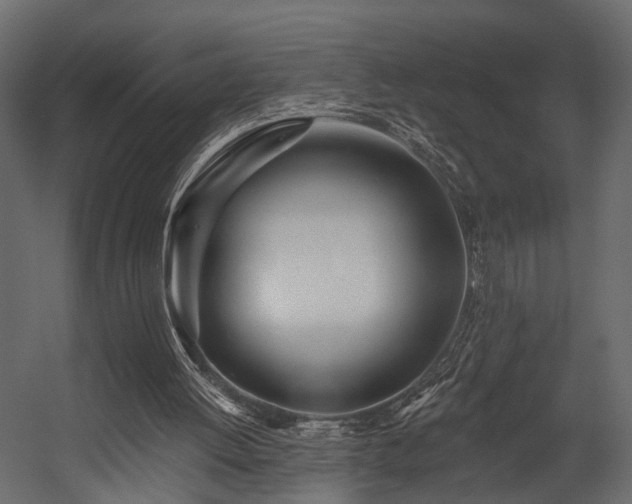 X0000054460052200508011512