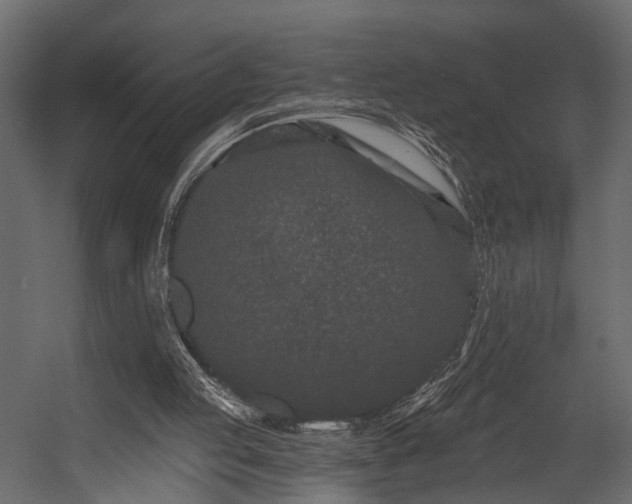 X0000054460053200508011512