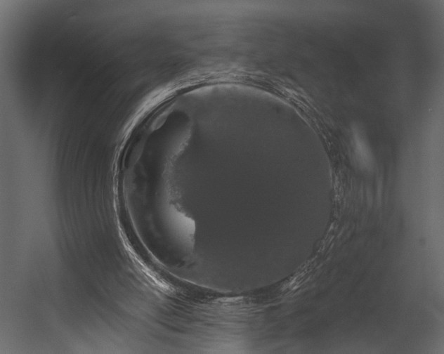 X0000054460054200508011512