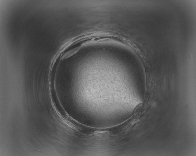 X0000054460055200508011512