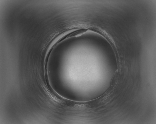 X0000054460057200508011512