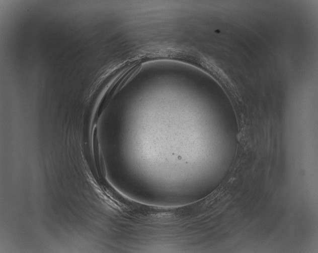 X0000054460058200508011512