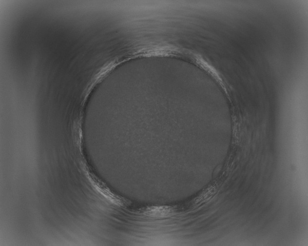 X0000054460059200508011512