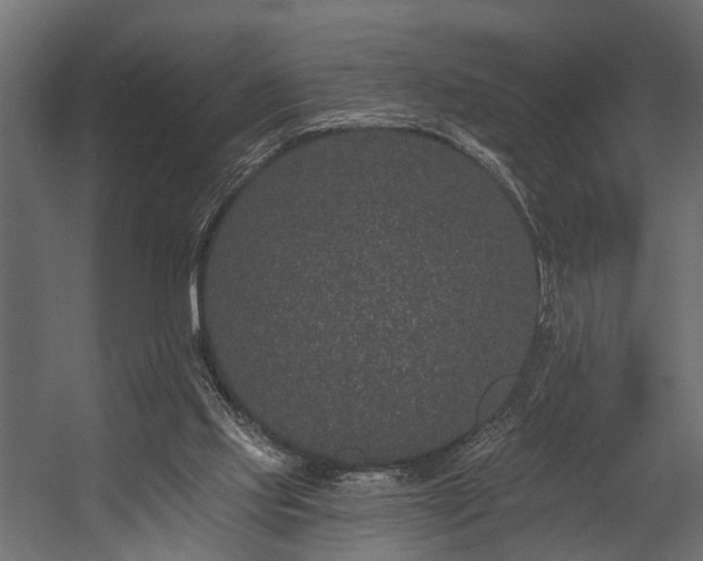 X0000054460061200508011512