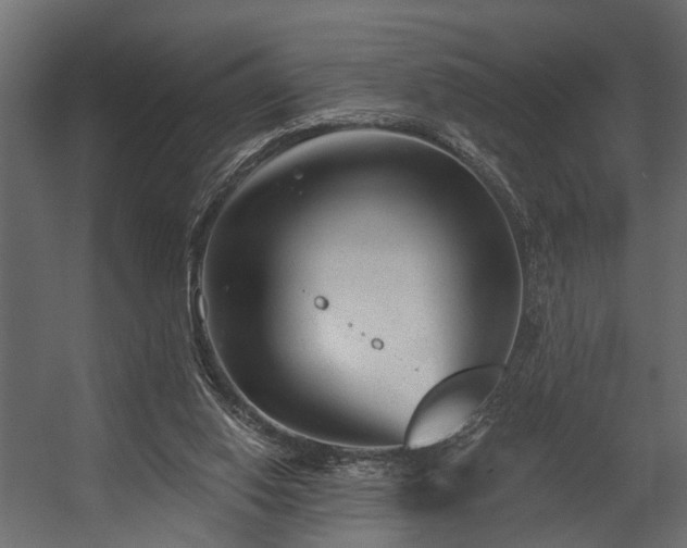 X0000054460062200508011512