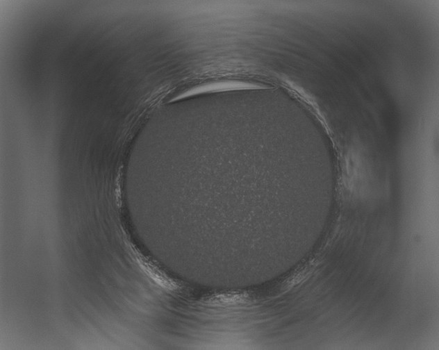 X0000054460065200508011512