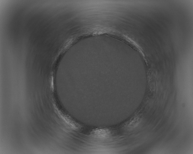 X0000054460067200508011512