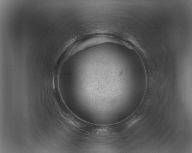 X0000054460068200508011512