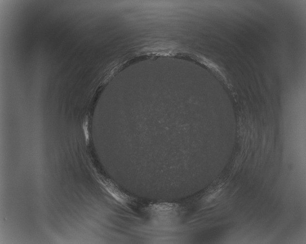 X0000054460069200508011512