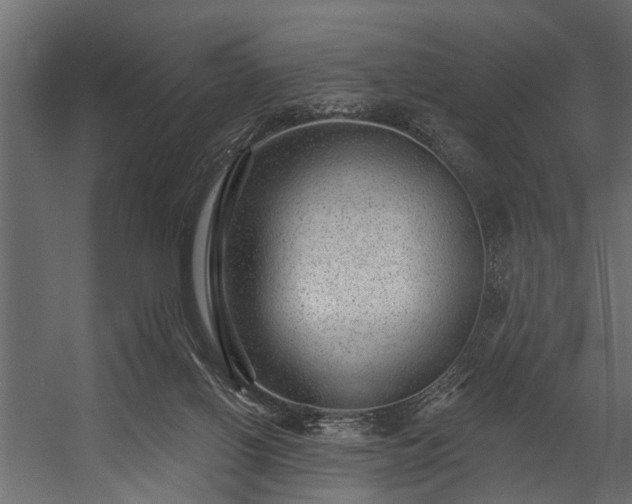 X0000054460070200508011512