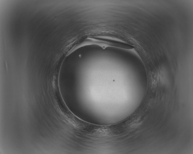 X0000054460071200508011512