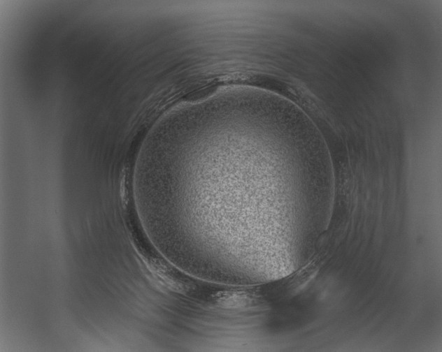 X0000054460074200508011513