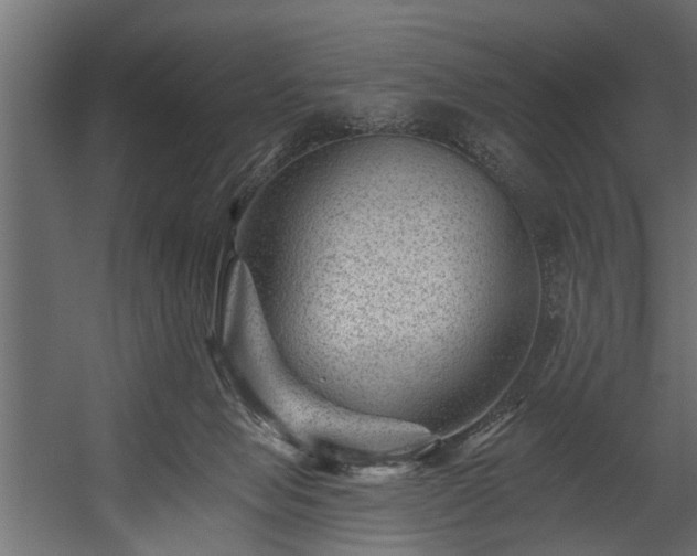 X0000054460077200508011513