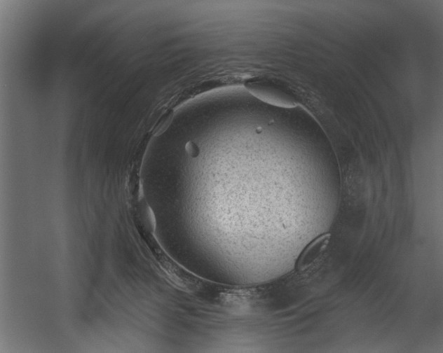 X0000054460079200508011513