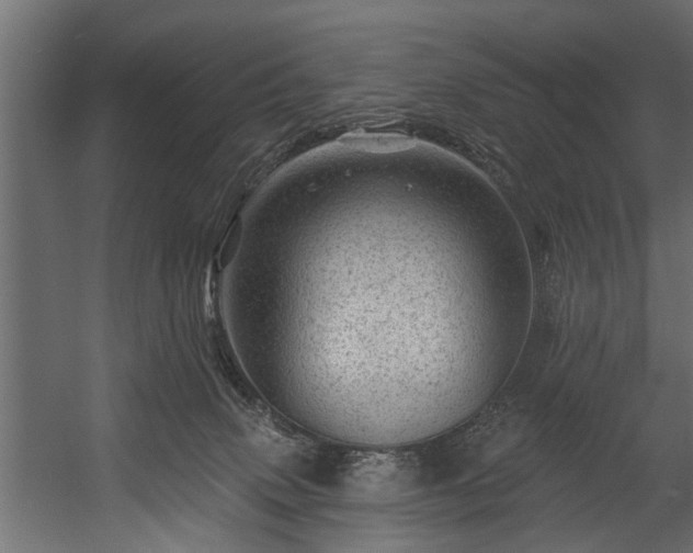 X0000054460083200508011513