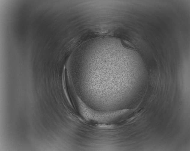 X0000054460085200508011513