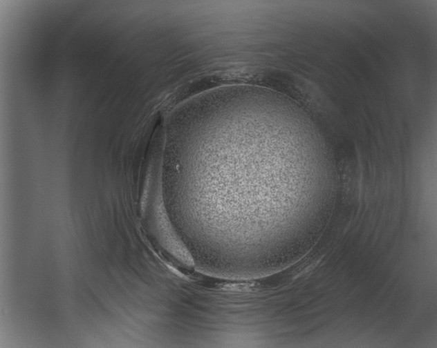 X0000054460089200508011513