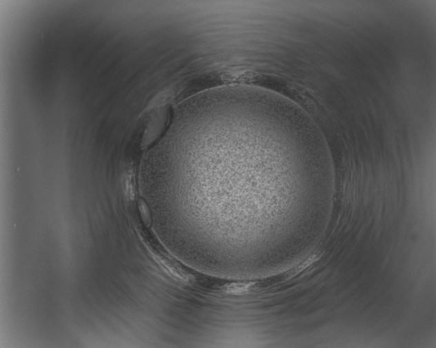 X0000054460090200508011513