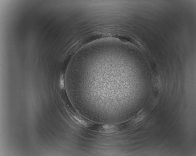 X0000054460095200508011513