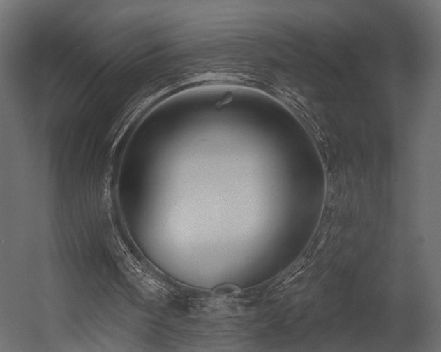 X0000054460098200508011512