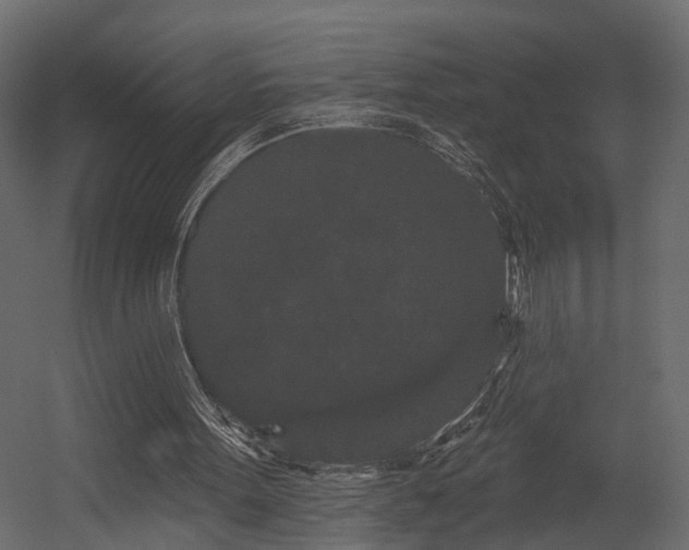 X0000054460099200508011512