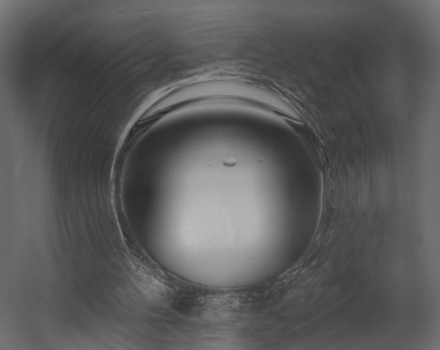 X0000054460100200508011512