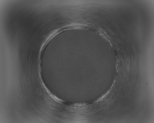 X0000054460101200508011512