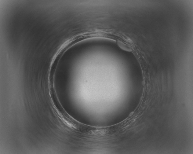 X0000054460102200508011512