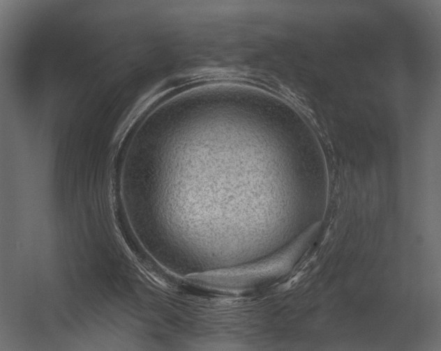 X0000054460103200508011512