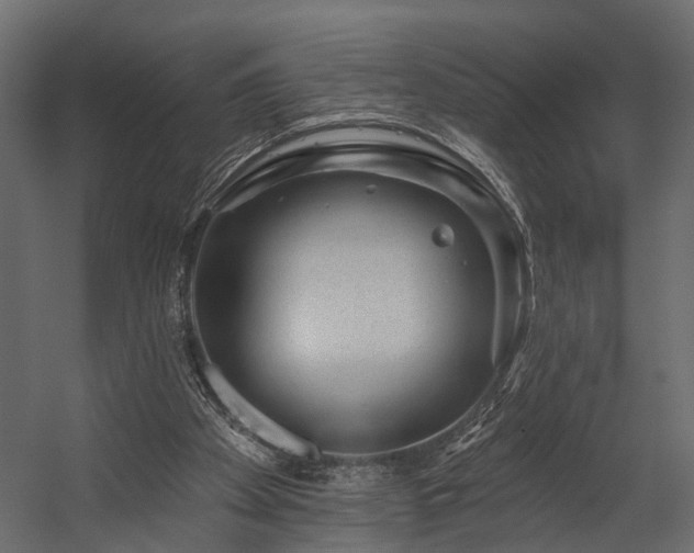 X0000054460105200508011512