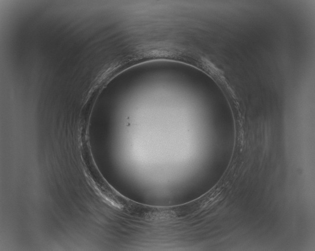 X0000054460106200508011512