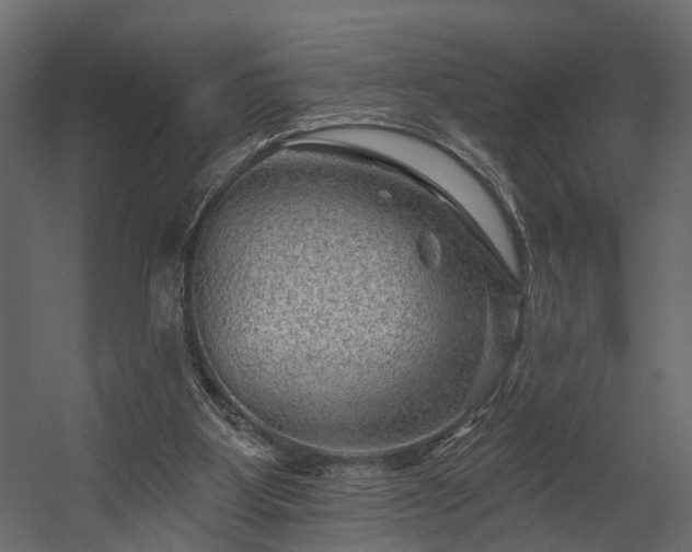 X0000054460107200508011512