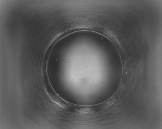 X0000054460108200508011512