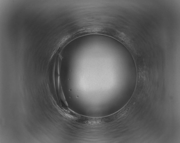 X0000054460110200508011512