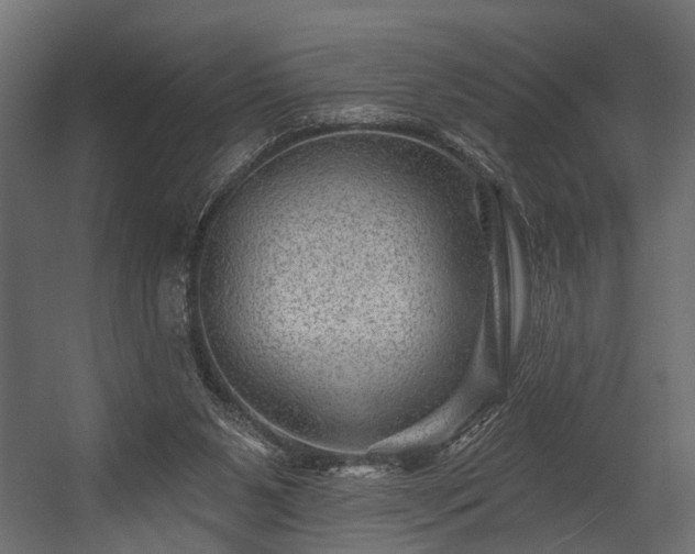 X0000054460111200508011512