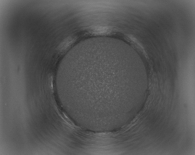 X0000054460115200508011512