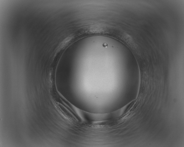 X0000054460116200508011512