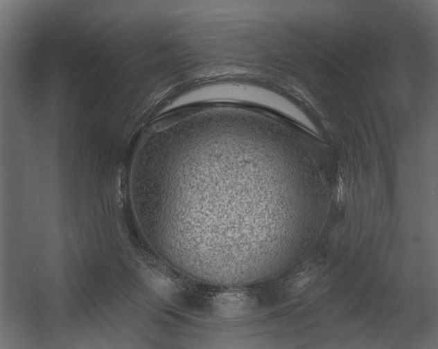 X0000054460119200508011512