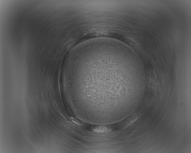 X0000054460123200508011512