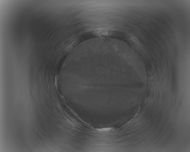 X0000054460125200508011512