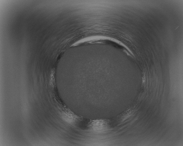 X0000054460127200508011512