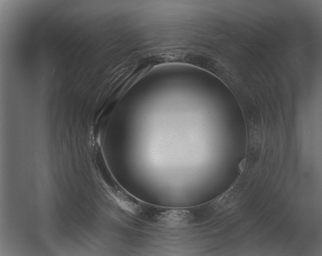 X0000054460128200508011512